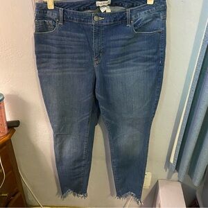 Lane Bryant Jeans 20